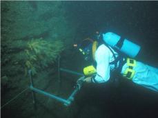 Underwater transect monitoring ©  Keith Hiscock